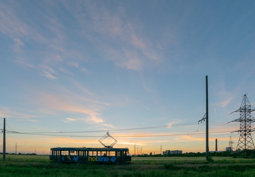 This beautiful world