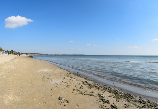 2016